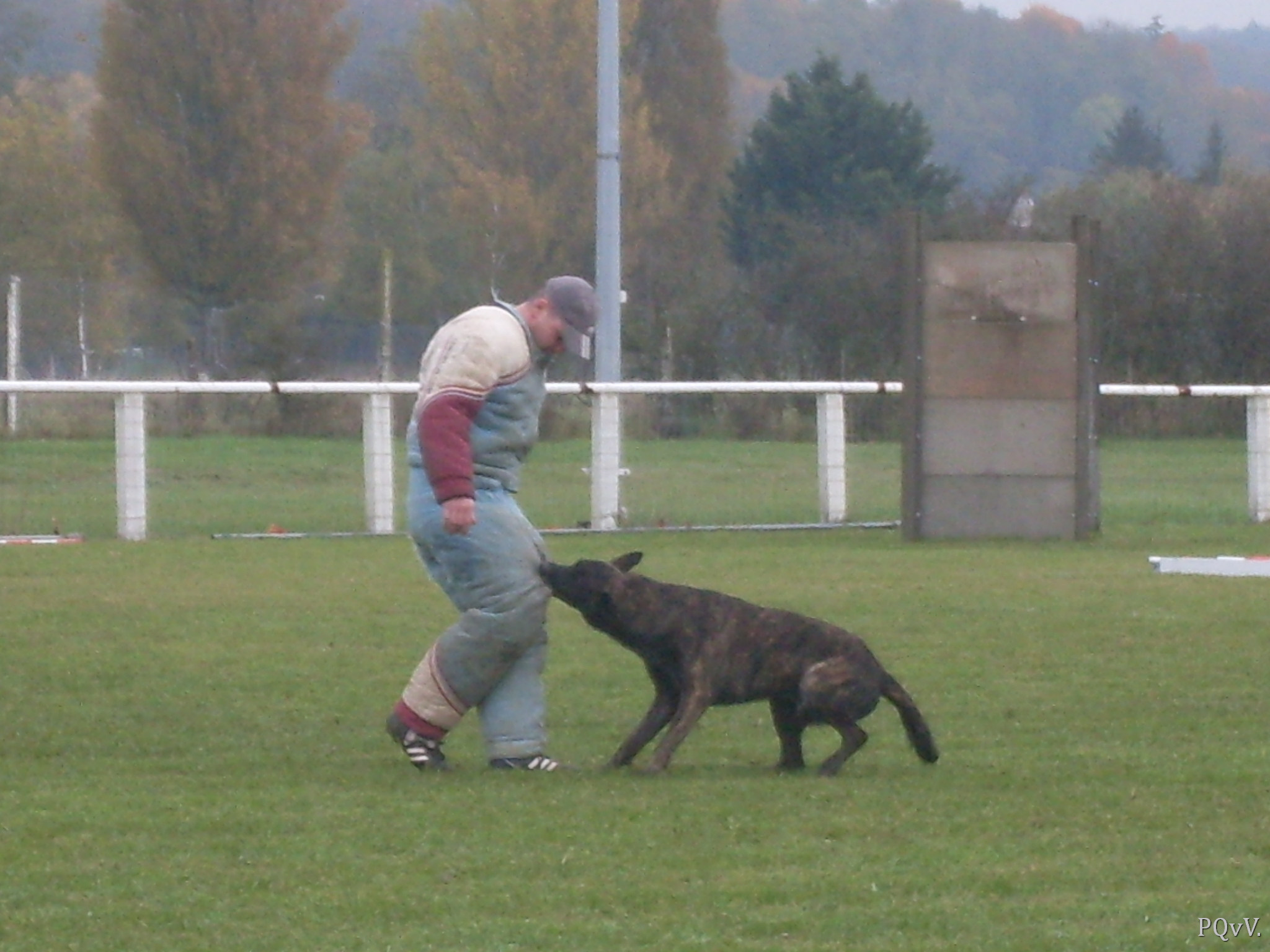  Eros des Crocs d’Olympe
